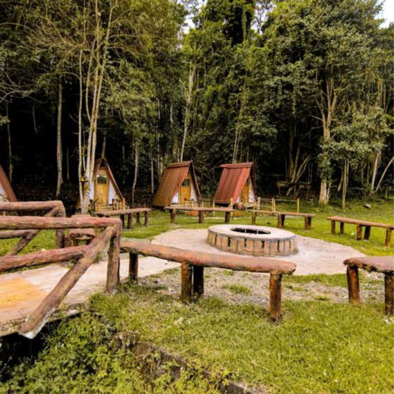 Área de acampada (Imagen de referencia)
