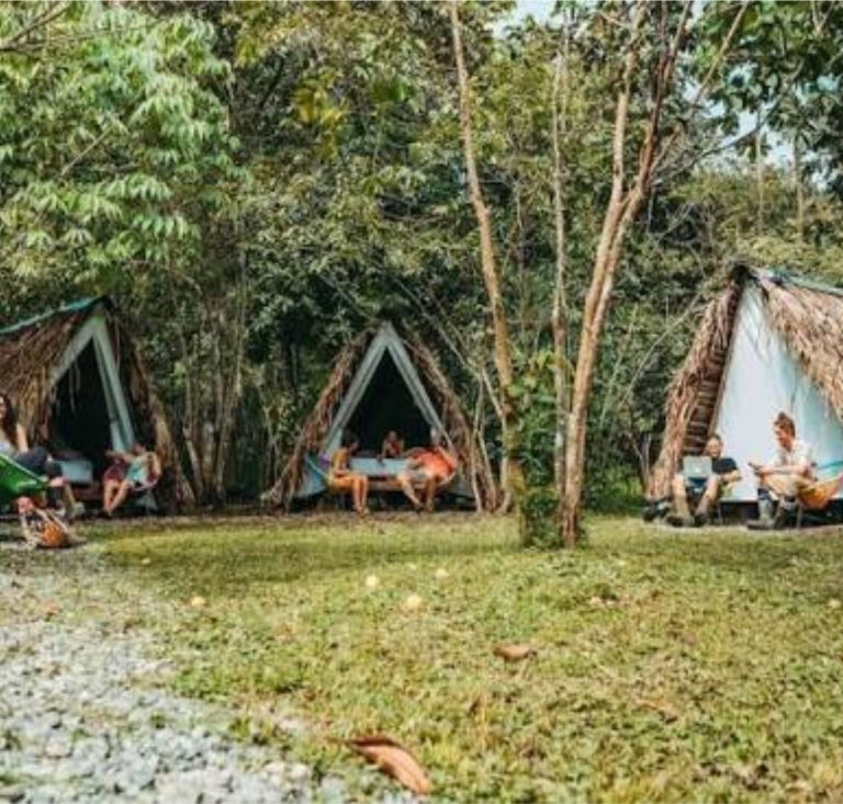 Area de acampada (Referencia Visual)