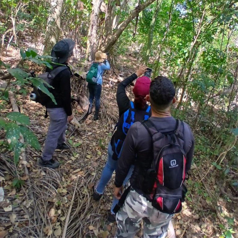xelvatic-outdoor-photosafaris19
